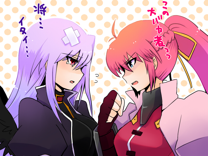 signum and reinforce (lyrical nanoha and 2 more) drawn by mikaze