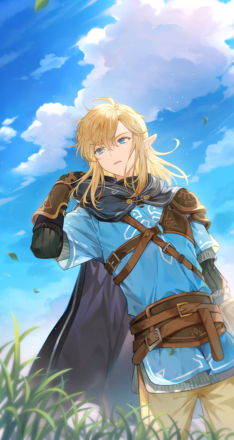 link (the legend of zelda and 1 more) drawn by yuyuhi_fine