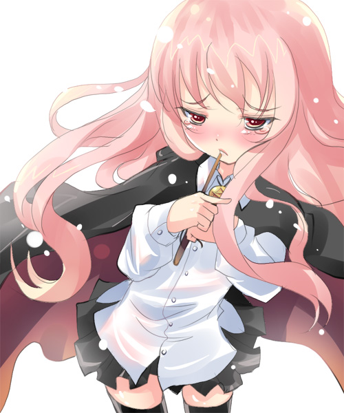 louise francoise le blanc de la valliere (zero no tsukaima) drawn by shiranagi