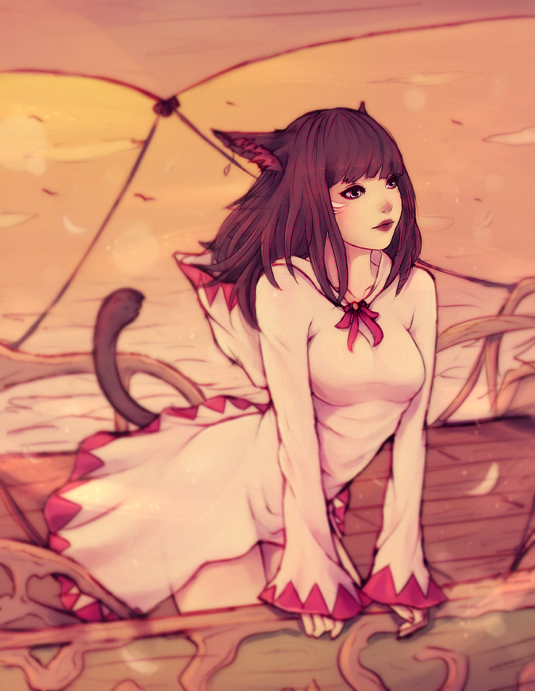 warrior of light and white mage (final fantasy and 1 more) drawn by soranamae