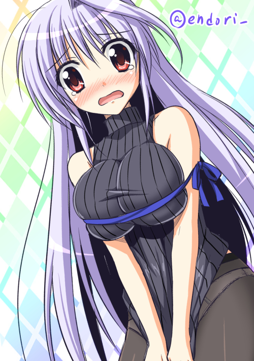 reinforce (lyrical nanoha and 1 more) drawn by endori