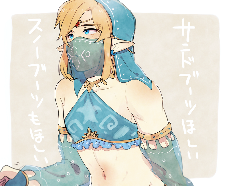 link (the legend of zelda and 1 more) drawn by yuma_(zero)