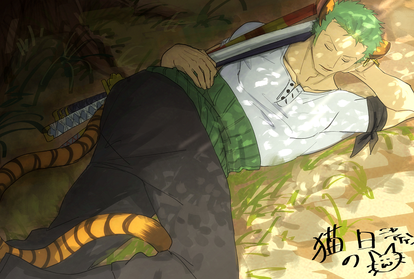 roronoa zoro (one piece) drawn by nekome3