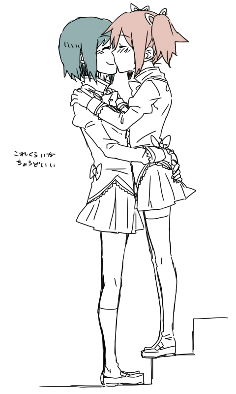 kaname madoka and miki sayaka (mahou shoujo madoka magica) drawn by torinone