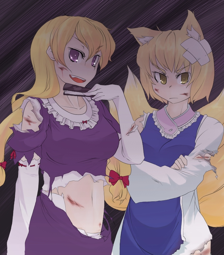 yakumo yukari and yakumo ran (touhou) drawn by sacha