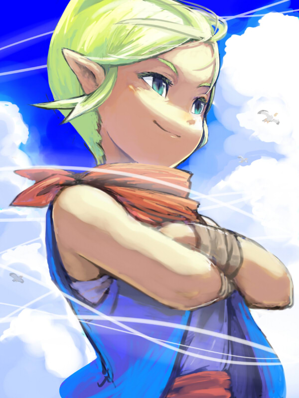 tetra (the legend of zelda and 1 more) drawn by kuruuya