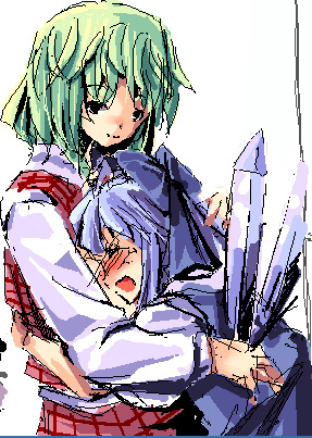 cirno and kazami yuuka (touhou) drawn by takatsuki_tsukasa