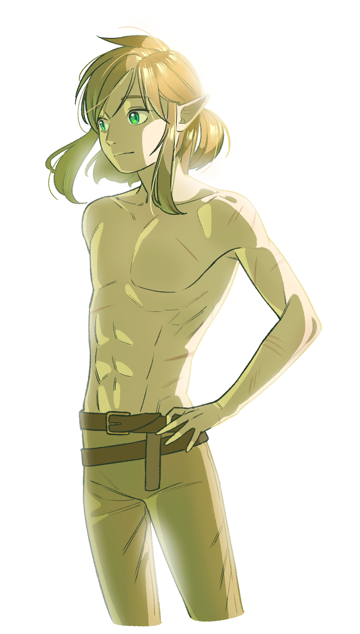 link (the legend of zelda and 1 more) drawn by bon_bon_eee