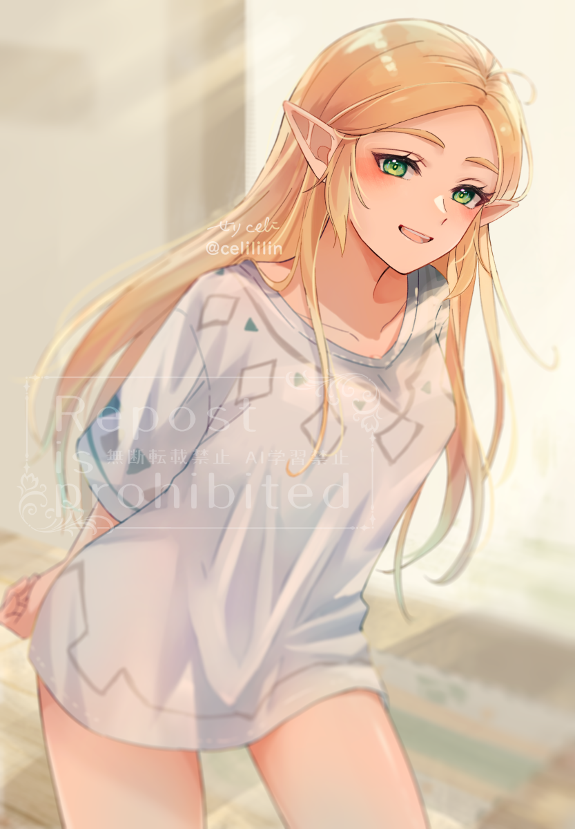 princess zelda (the legend of zelda and 1 more) drawn by seri_(yuukasakura)