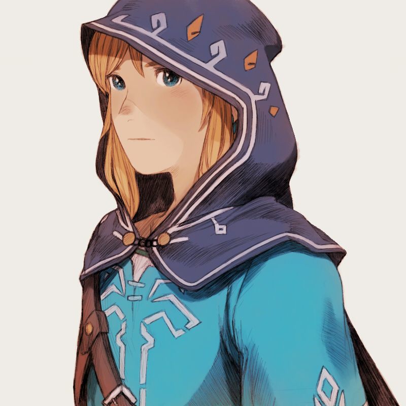 link (the legend of zelda and 1 more) drawn by maeka_(kumaekake)