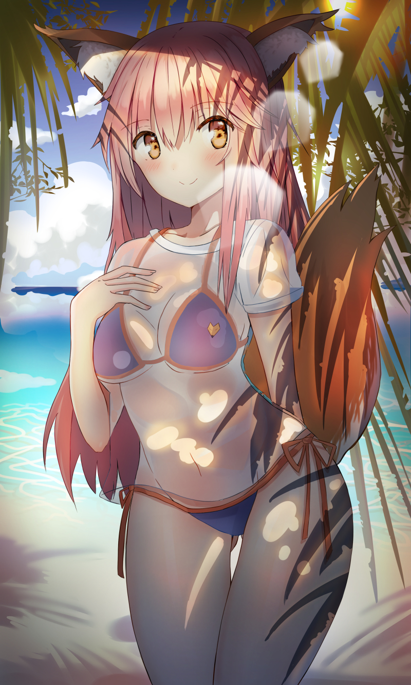 tamamo and tamamo no mae (fate and 3 more) drawn by miamuly