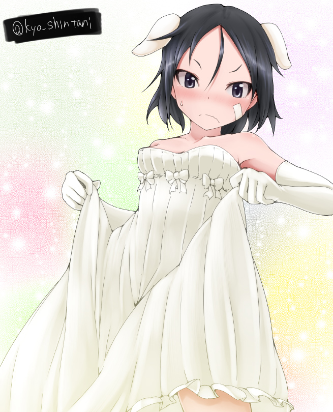 kanno naoe (world witches series and 1 more) drawn by shintani_kyou