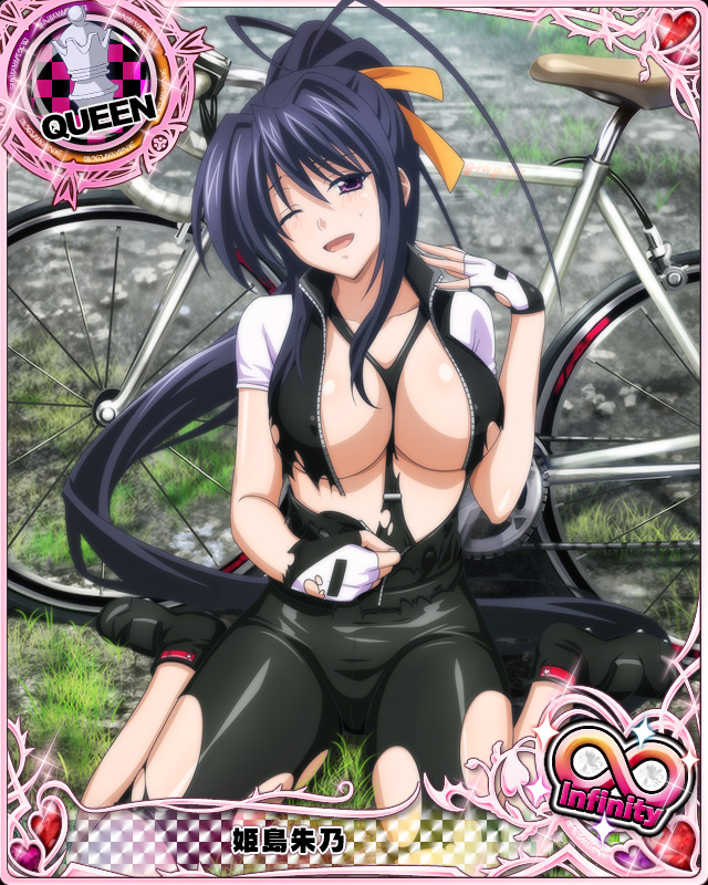 himejima akeno (high school dxd and 1 more)