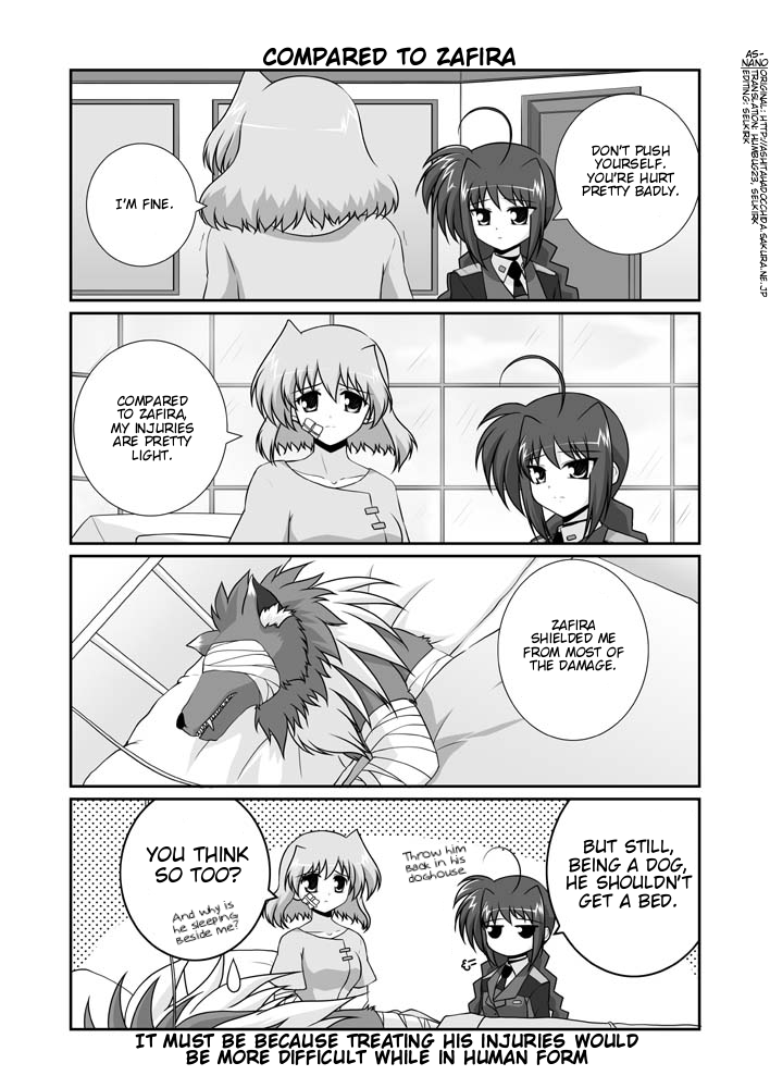 vita, shamal, and zafira (lyrical nanoha and 1 more) drawn by mikage_takashi