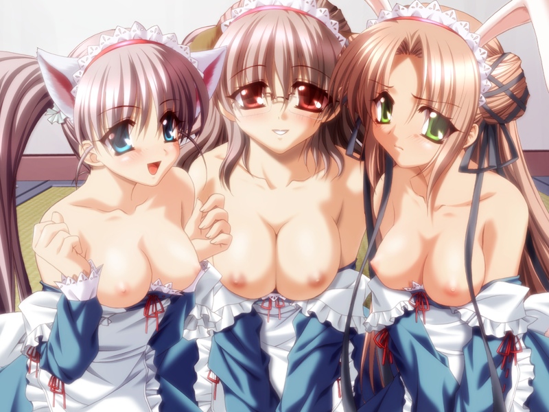 niki sarasa, niimi haruka, and futaba hiromi (2x4! -hitotsu yane no shita de-) drawn by araiguma
