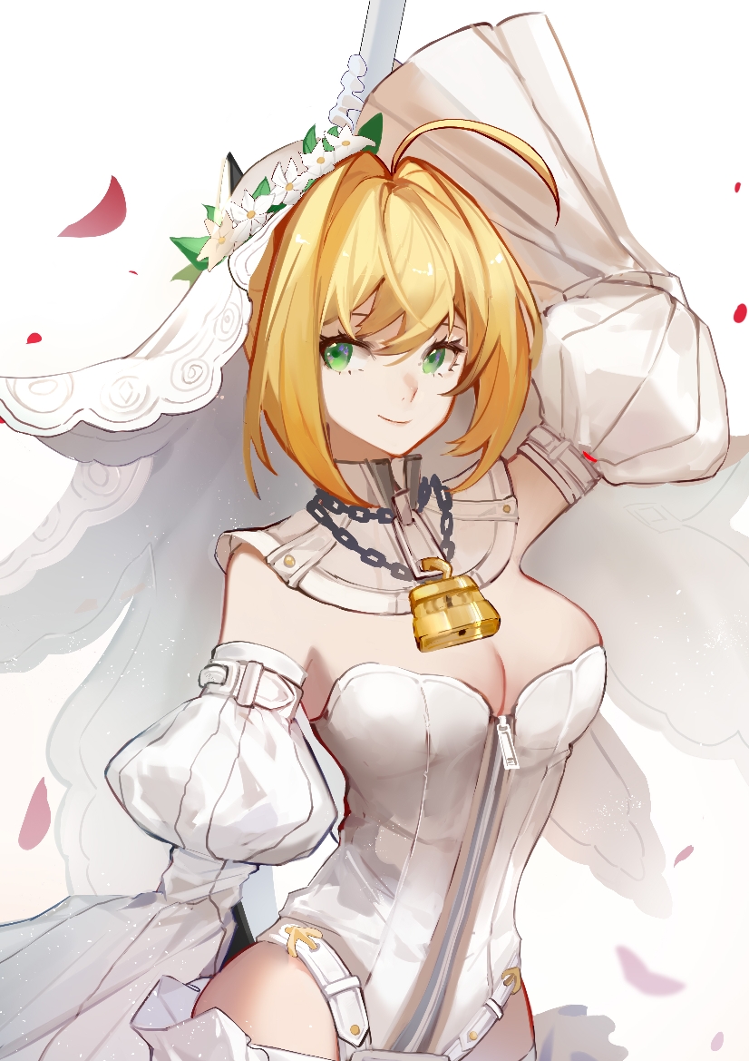 nero claudius (fate and 1 more) drawn by user_pxyz8223