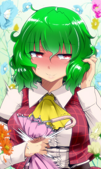 kazami yuuka (touhou) drawn by hyudora