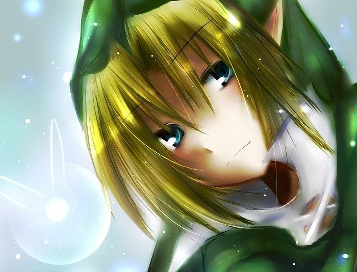 link (the legend of zelda and 1 more)