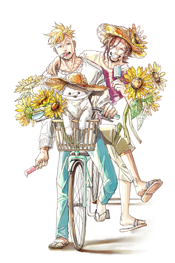 marco, thatch, and stefan (one piece) drawn by murokan_77