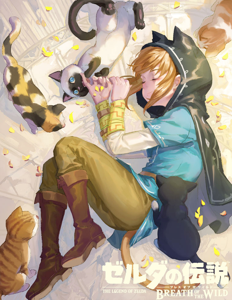 link (the legend of zelda and 1 more) drawn by cocointhejar