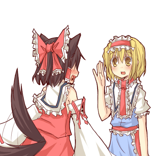 hakurei reimu and alice margatroid (touhou) drawn by natsuk