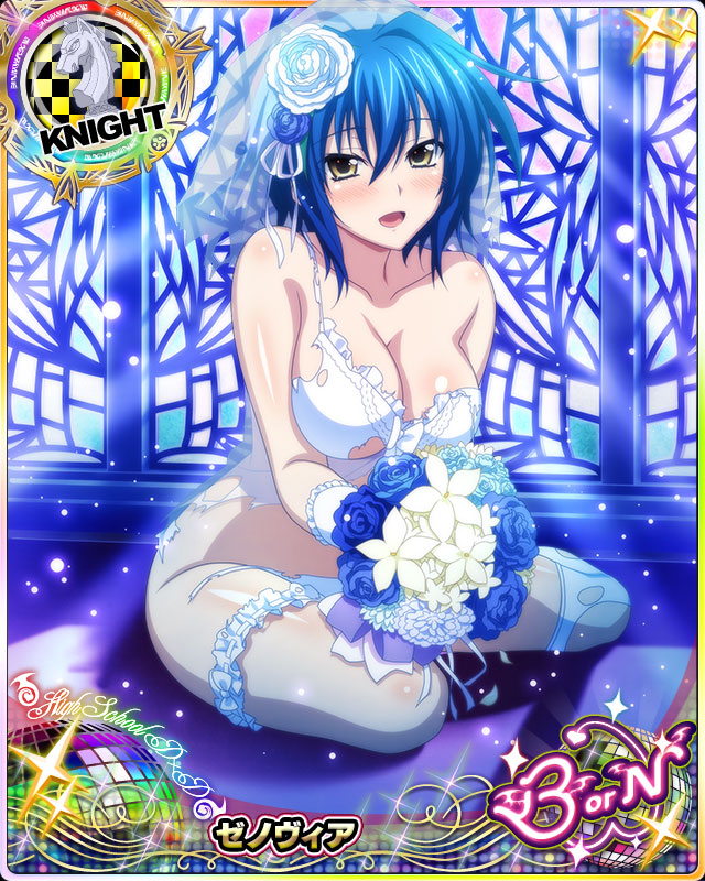 xenovia quarta (high school dxd and 1 more)