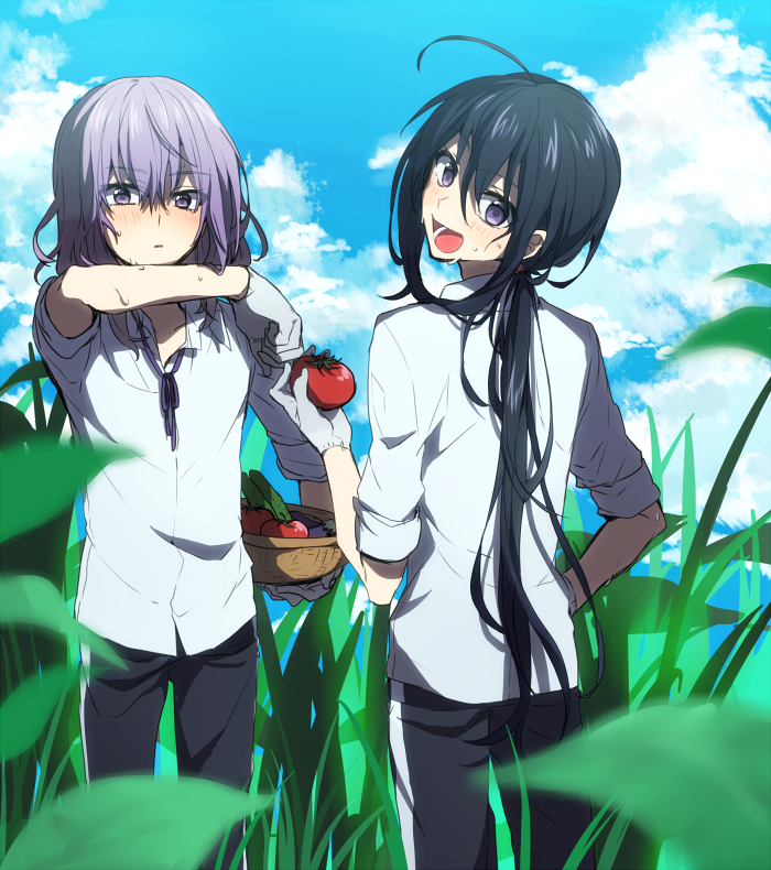 namazuo toushirou and honebami toushirou (touken ranbu) drawn by yamabukiiro