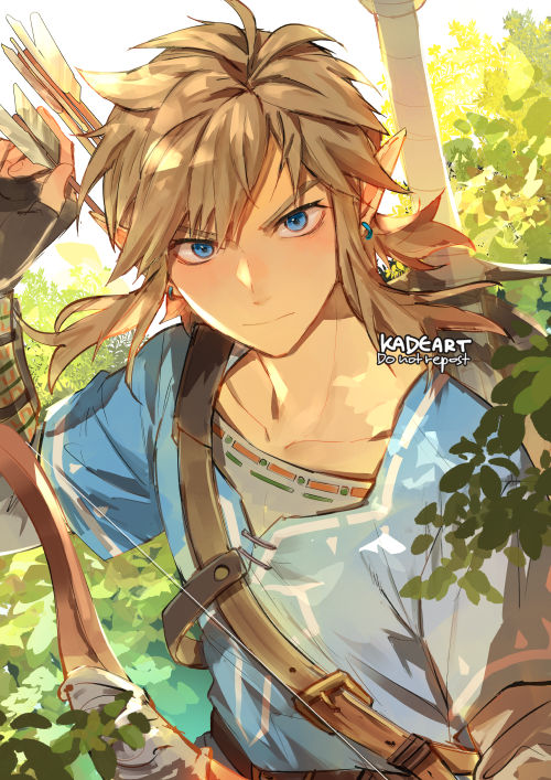 link (the legend of zelda and 1 more) drawn by kadeart