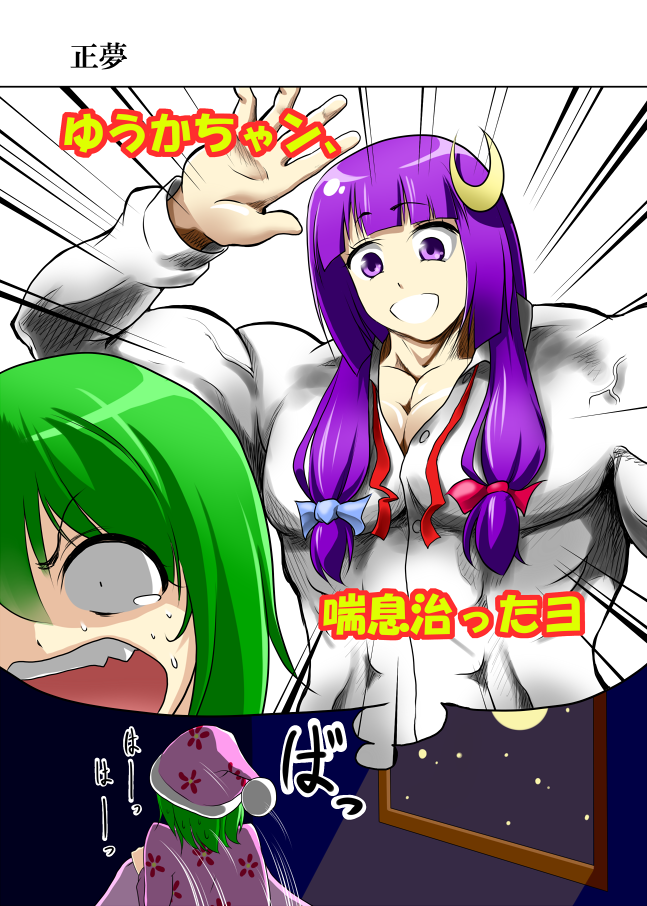 patchouli knowledge and kazami yuuka (touhou) drawn by mattari_yufi