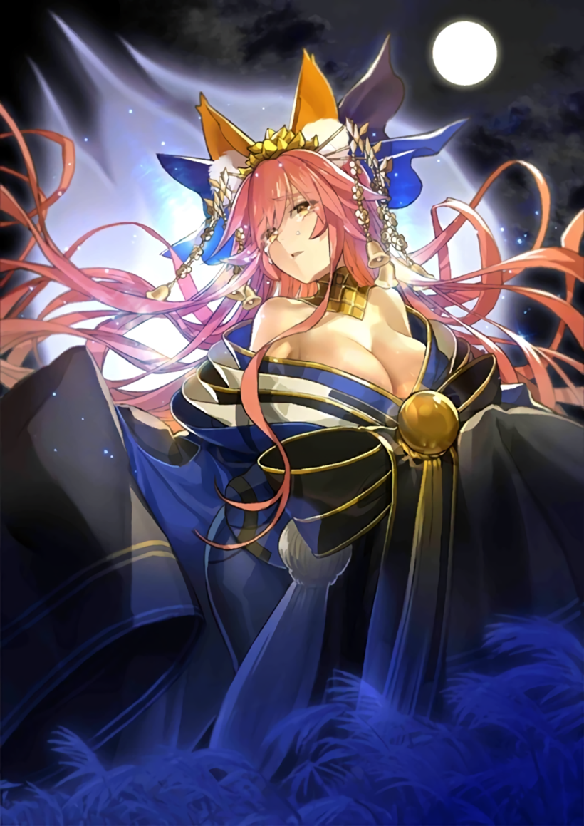 tamamo and tamamo no mae (fate and 1 more) drawn by wada_arco