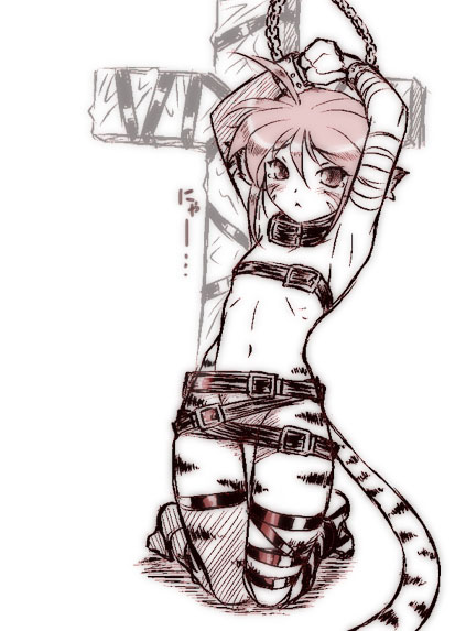 katt (breath of fire and 2 more) drawn by dr.p