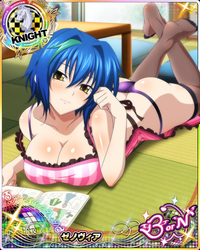 xenovia quarta (high school dxd and 1 more)