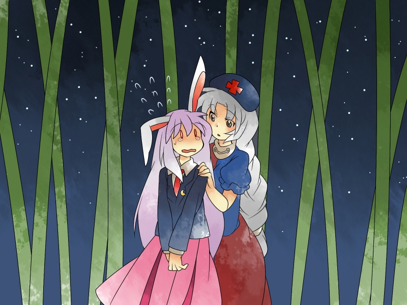 reisen udongein inaba and yagokoro eirin (touhou) drawn by hammer_(sunset_beach)