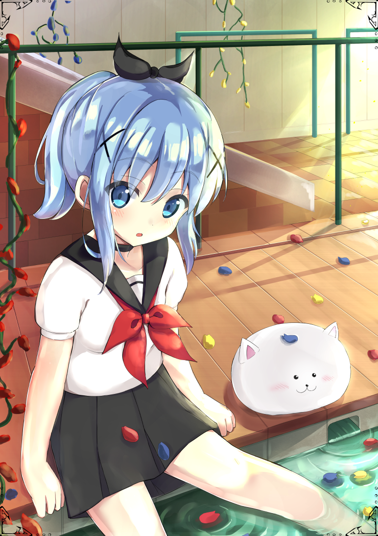 kafuu chino and tippy (gochuumon wa usagi desu ka?) drawn by takapii