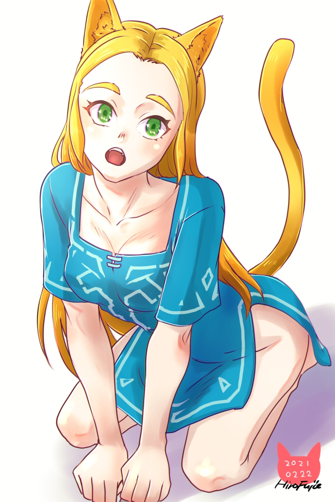 princess zelda (the legend of zelda and 1 more) drawn by hirofujie