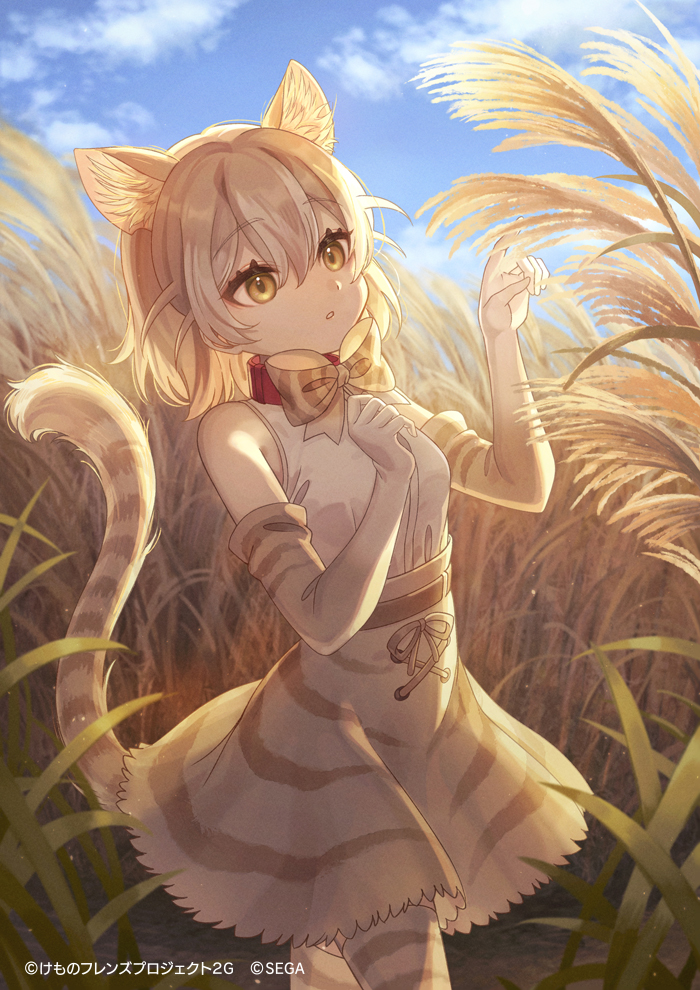 cat (kemono friends and 1 more) drawn by namihaya