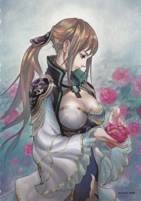 wang yuanji (shin sangoku musou and 2 more) drawn by harunoichi