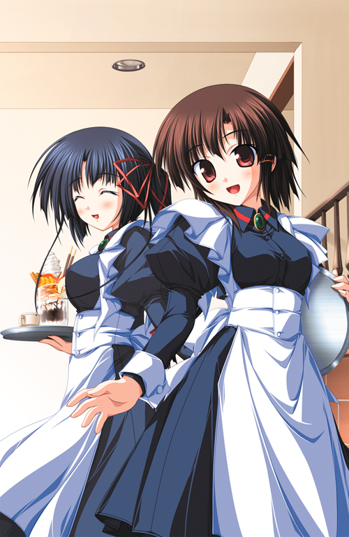 niiyama aoi and nanjou ibuki (akiiro renka) drawn by tsukimori_hiro and yuuki_makoto_(radiant)