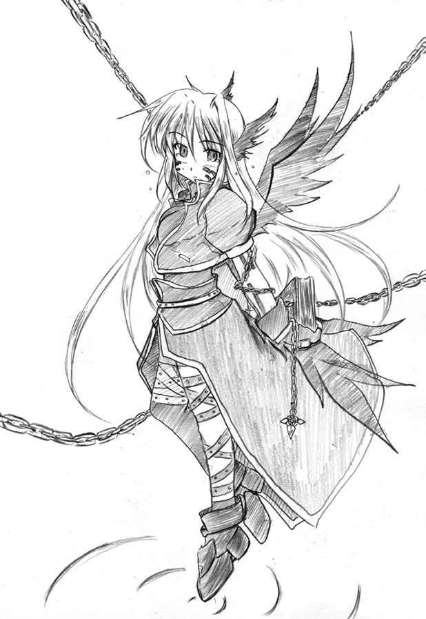 reinforce, schwertkreuz, and tome of the night sky (lyrical nanoha and 2 more) drawn by zero_point