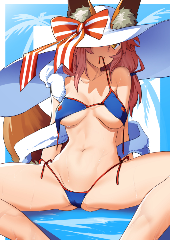 tamamo and tamamo no mae (fate and 1 more) drawn by cibo_(killy)