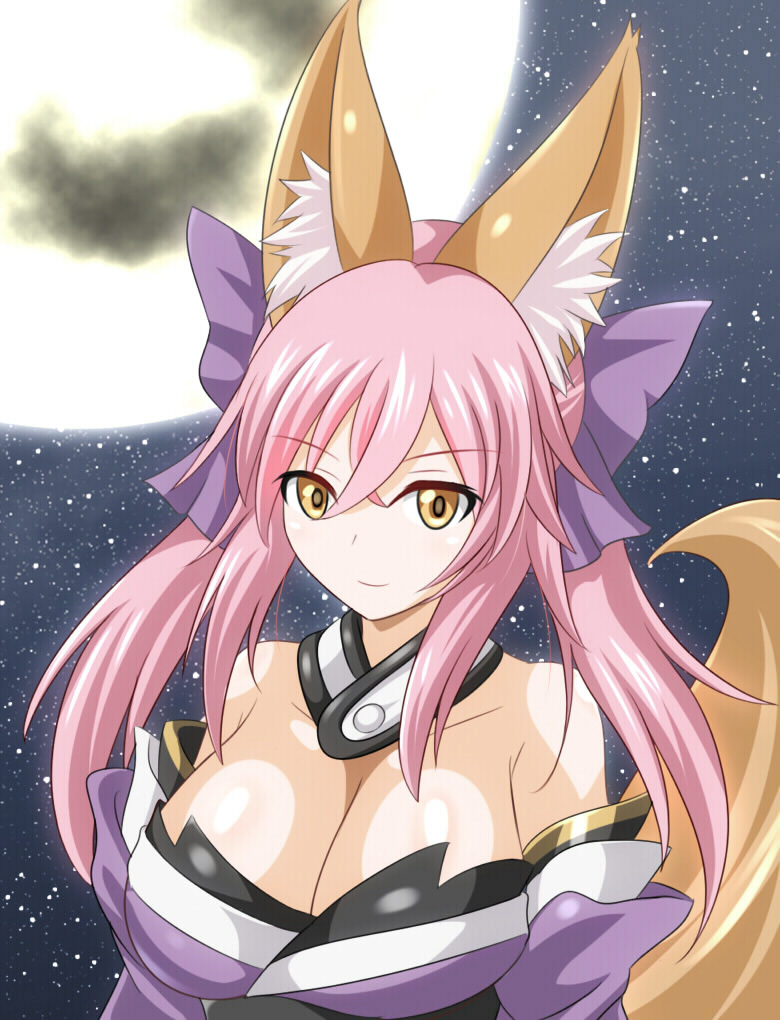 tamamo and tamamo no mae (fate and 3 more) drawn by nauchan4649