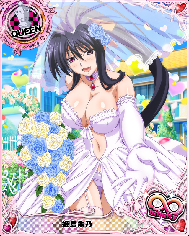 himejima akeno (high school dxd and 1 more)
