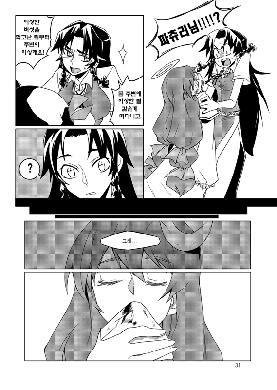 patchouli knowledge and hong meiling (touhou) drawn by tima
