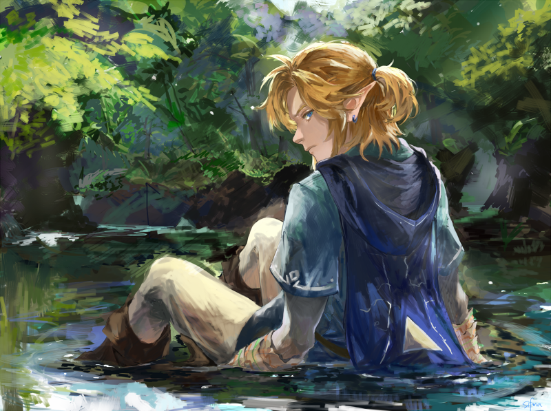 link (the legend of zelda and 1 more) drawn by toroyuri