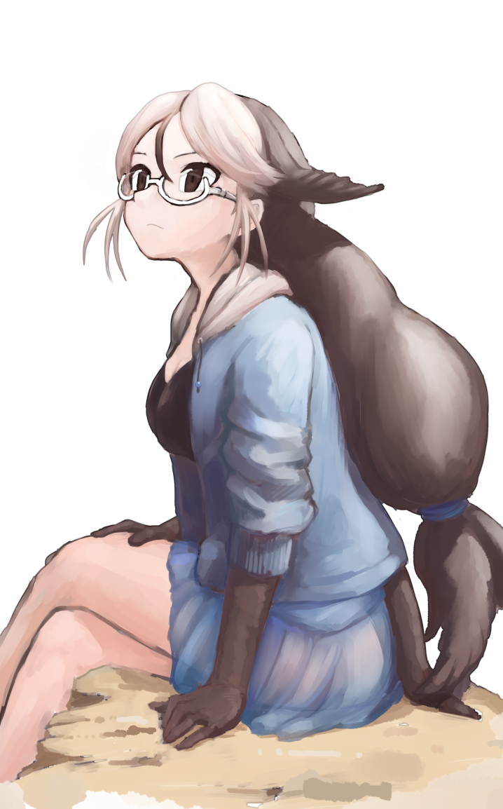 california sea lion (kemono friends) drawn by rumenia_(ao2is)