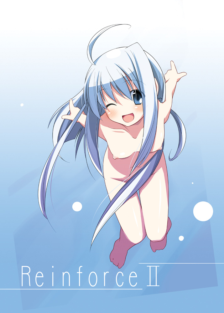 reinforce zwei (lyrical nanoha and 1 more) drawn by mizoguchi_keiji