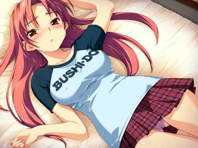 honda shizuru (ai shimai ~docchi ni suruno!!~) drawn by sameda_koban