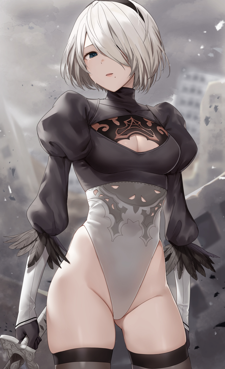 2b (nier and 1 more) drawn by haru_(nakajou-28)