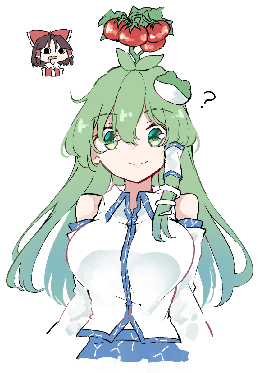 hakurei reimu and kochiya sanae (touhou) drawn by deetamu