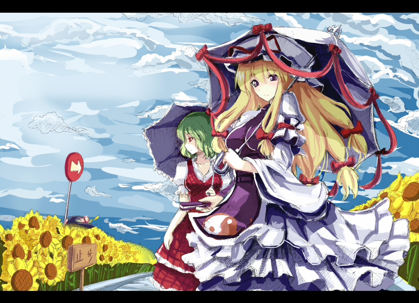 yakumo yukari and kazami yuuka (touhou) drawn by walzrj